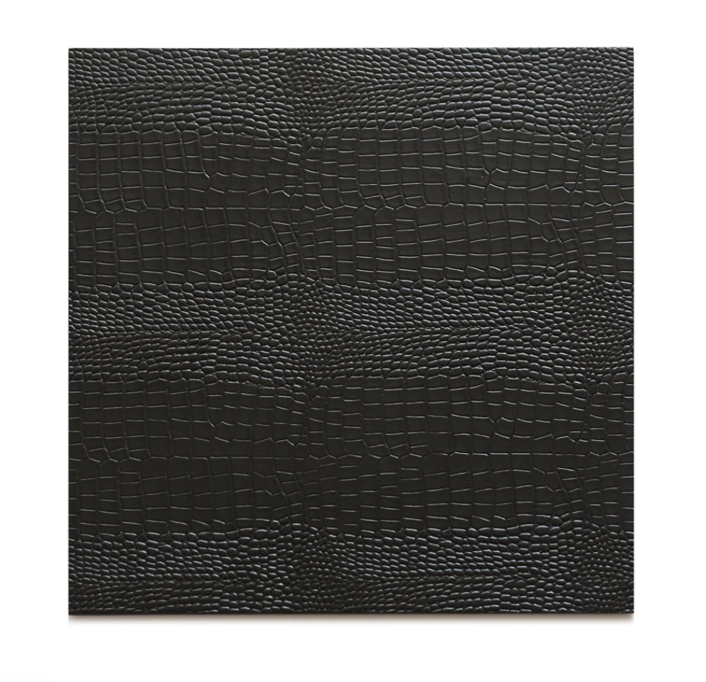 Men's Posh Trading Company Black Python Placemat other