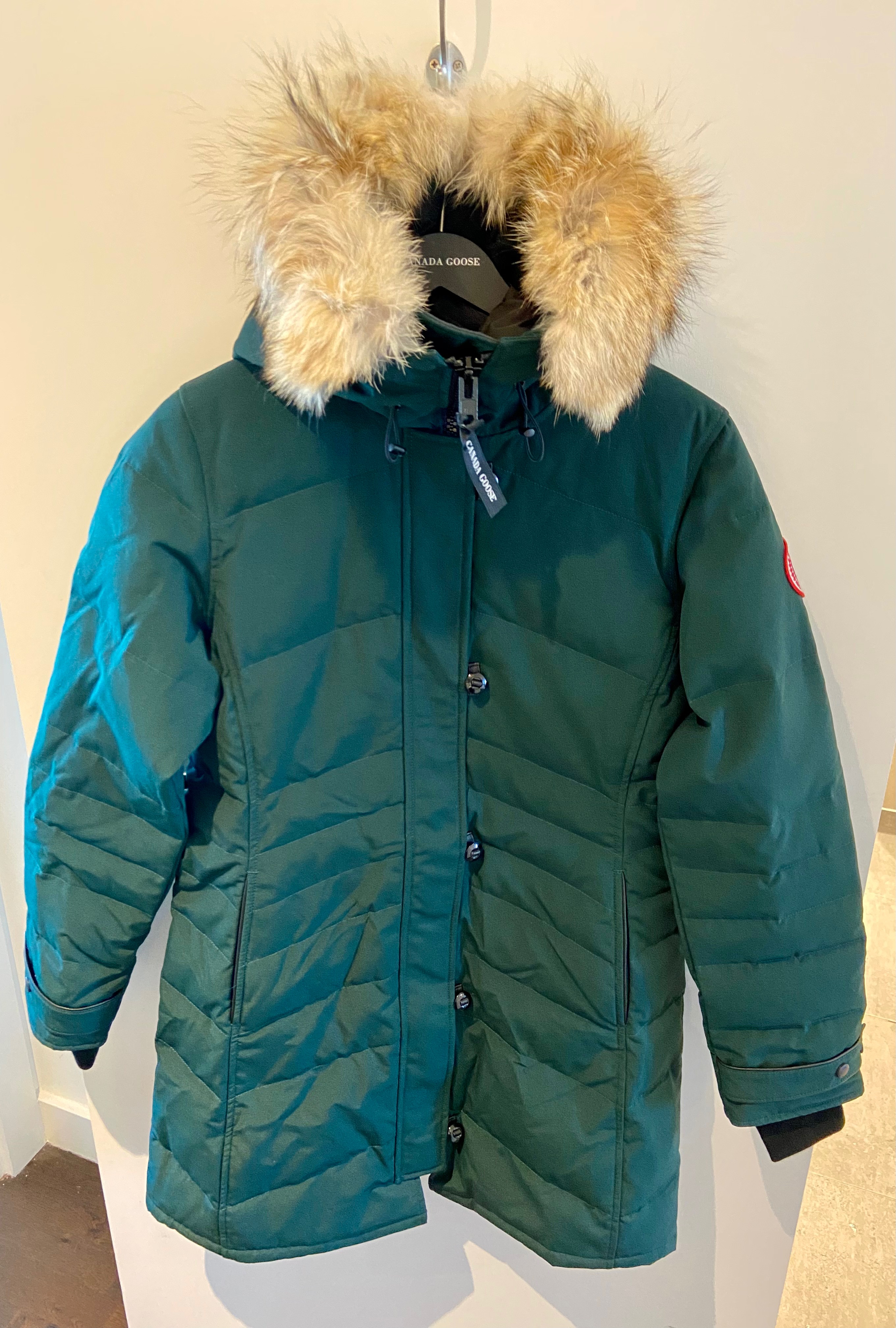 Canada Goose green gabardie  coyote fur Lorette parka Size M Algonquin green