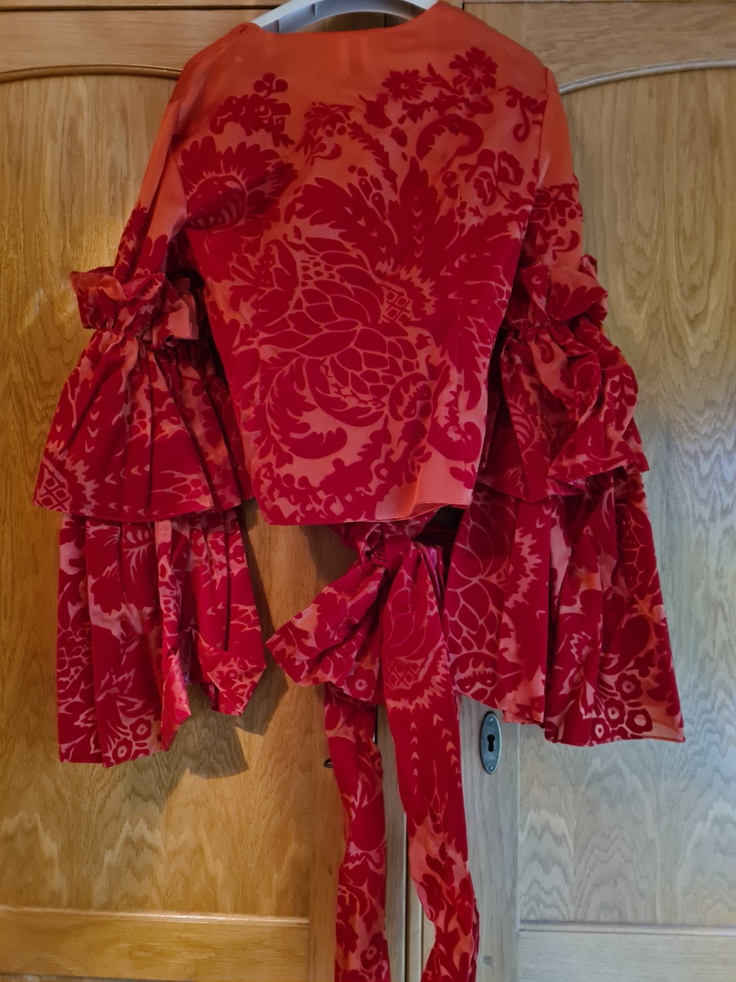 Rosie Assoulin Red Flocked Silk Organza Top Size M