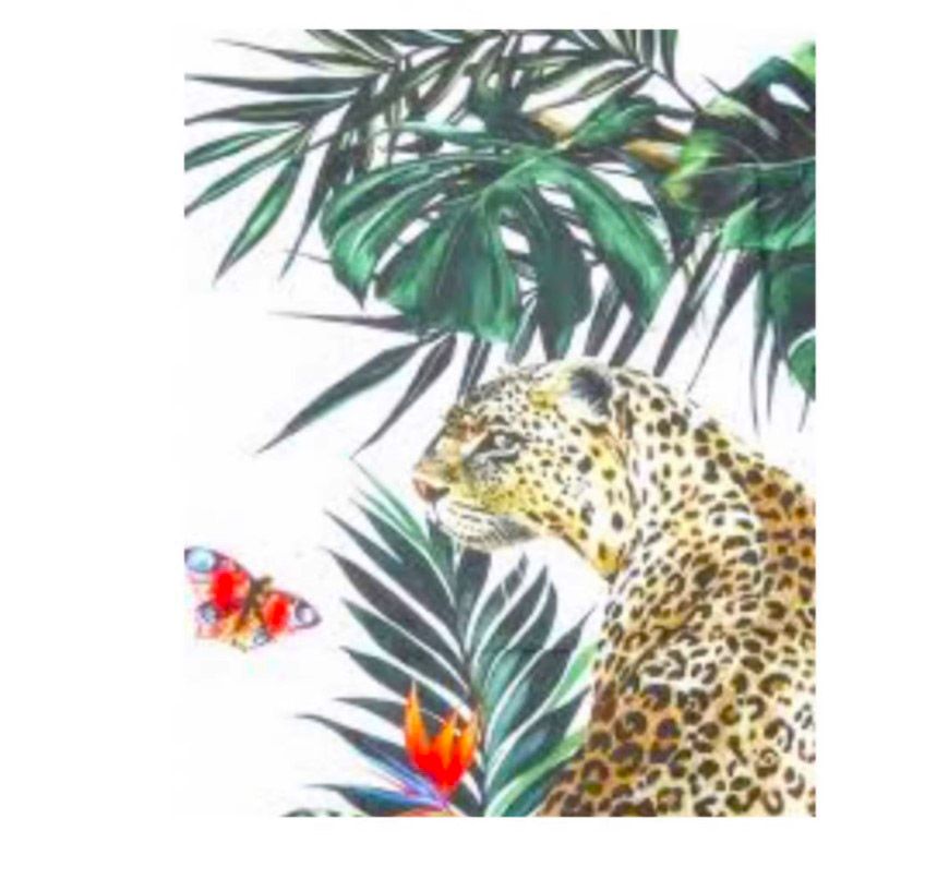 Dolce  Gabbana Jungle Leopard Printed Cashmere Blend Scarf Multicolour