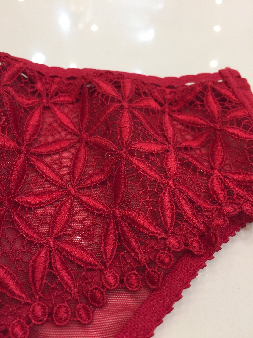 Aubade Paris red guipure lace briefs Size XL cotton