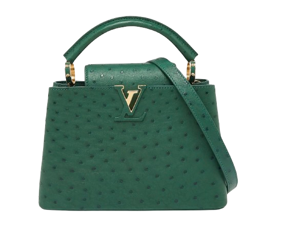 Louis Vuitton Green Ostrich Leather Mini Capucines Menthe ext/rieur/cuir d