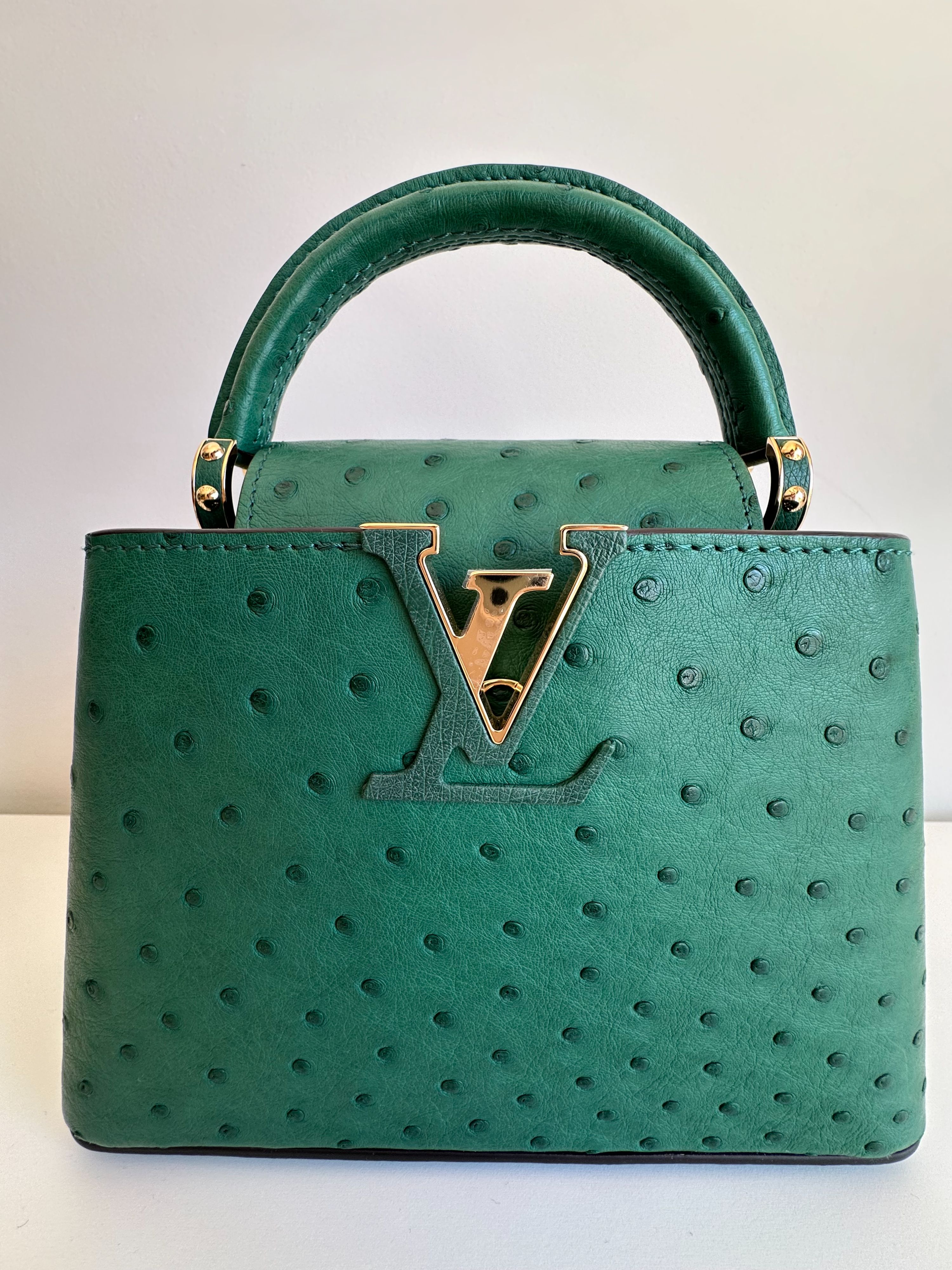 Louis Vuitton Green Ostrich Leather Mini Capucines Menthe ext/rieur/cuir d