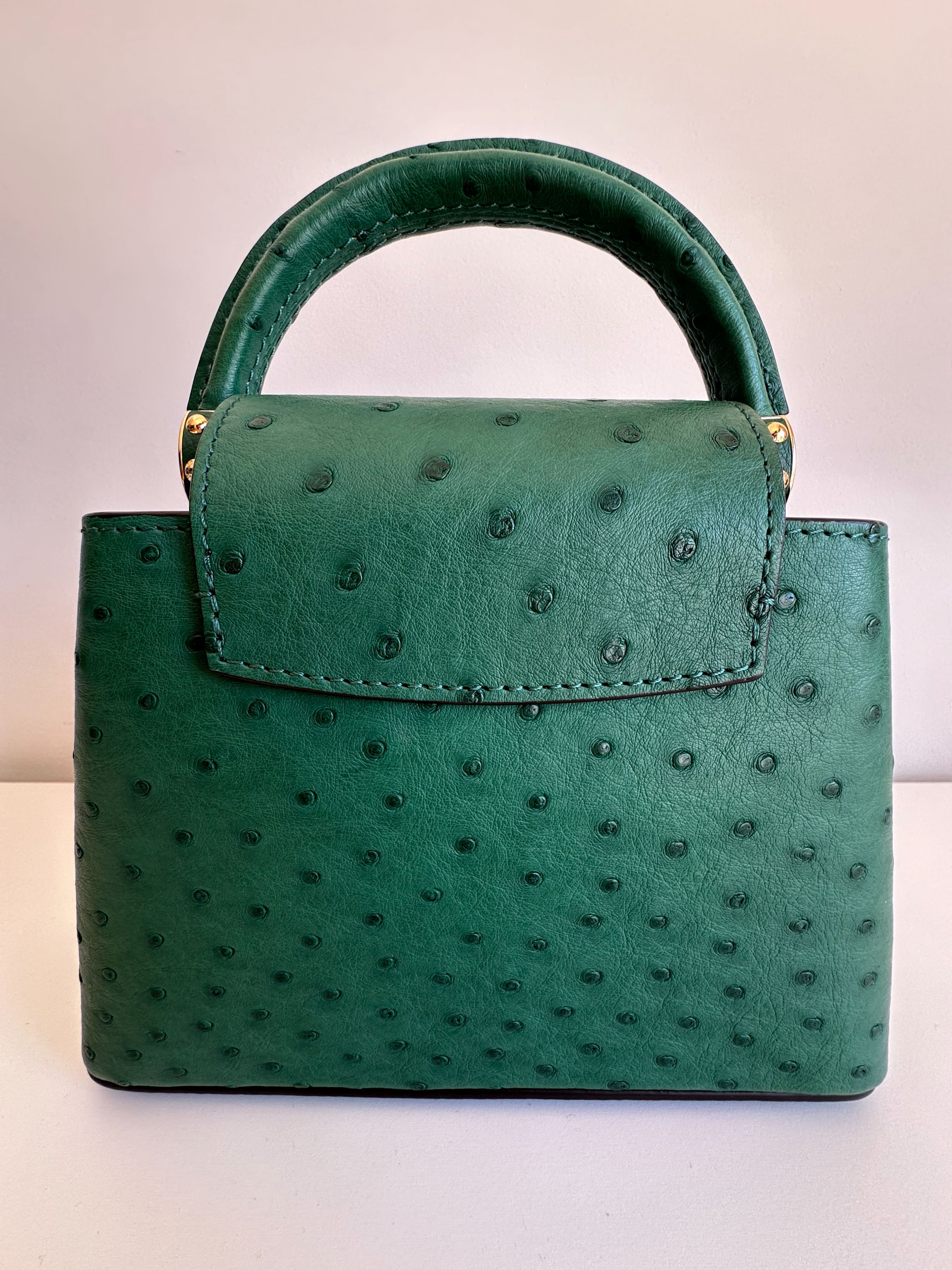 Louis Vuitton Green Ostrich Leather Mini Capucines Menthe ext/rieur/cuir d