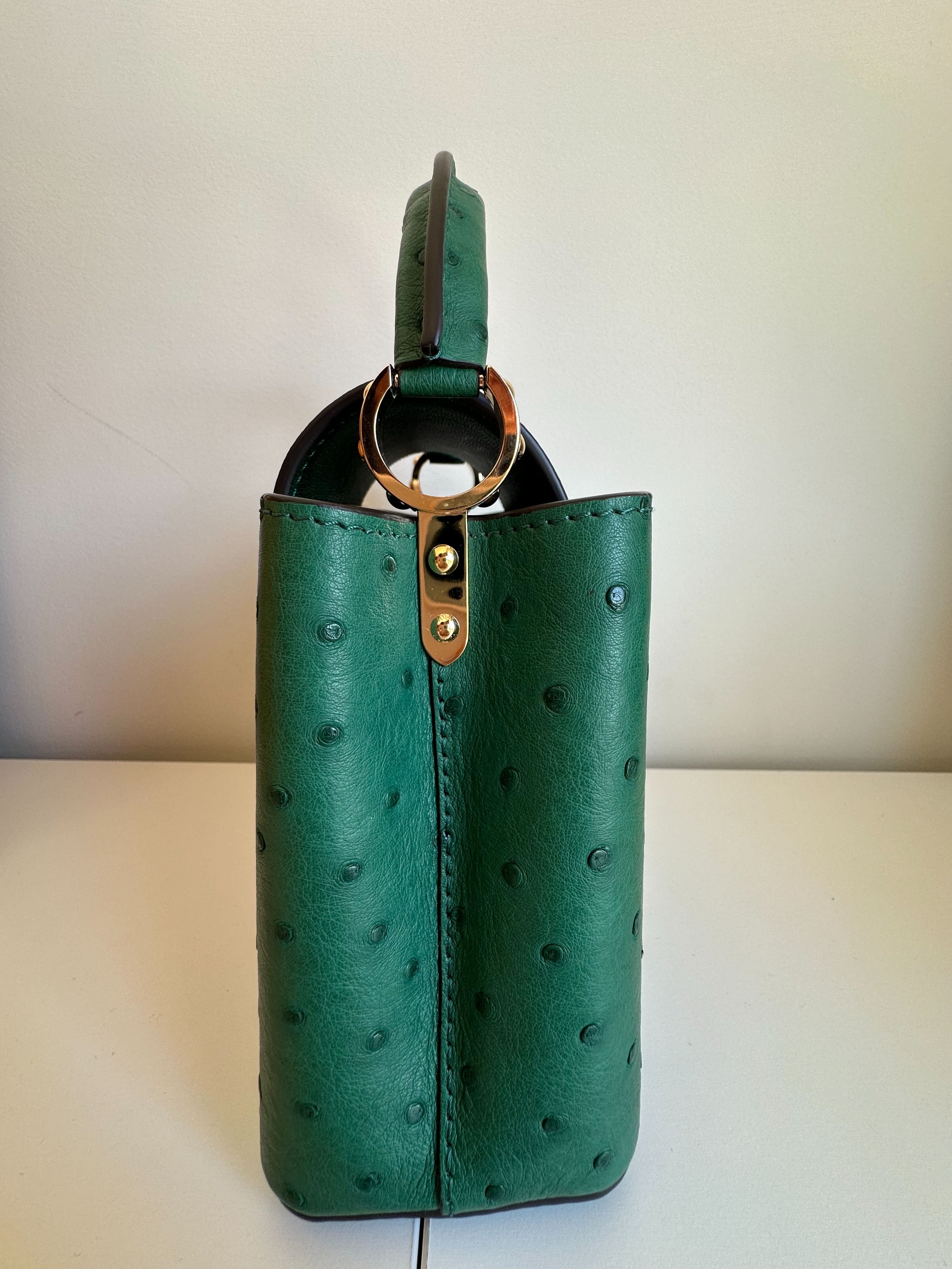 Louis Vuitton Green Ostrich Leather Mini Capucines Menthe ext/rieur/cuir d