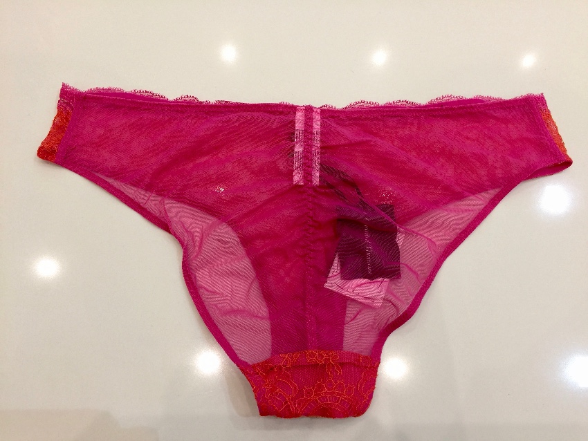 Chantal Thomass Fuchsia Pink  Orange Calais Leavers Lace Brief Size L