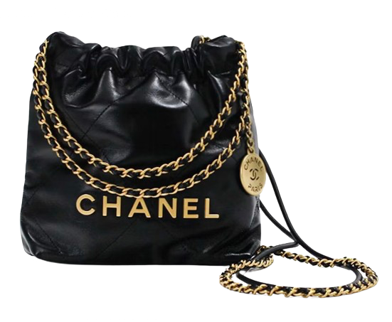 Chanel Black Calfskin Mini Hobo 22 Bag leather