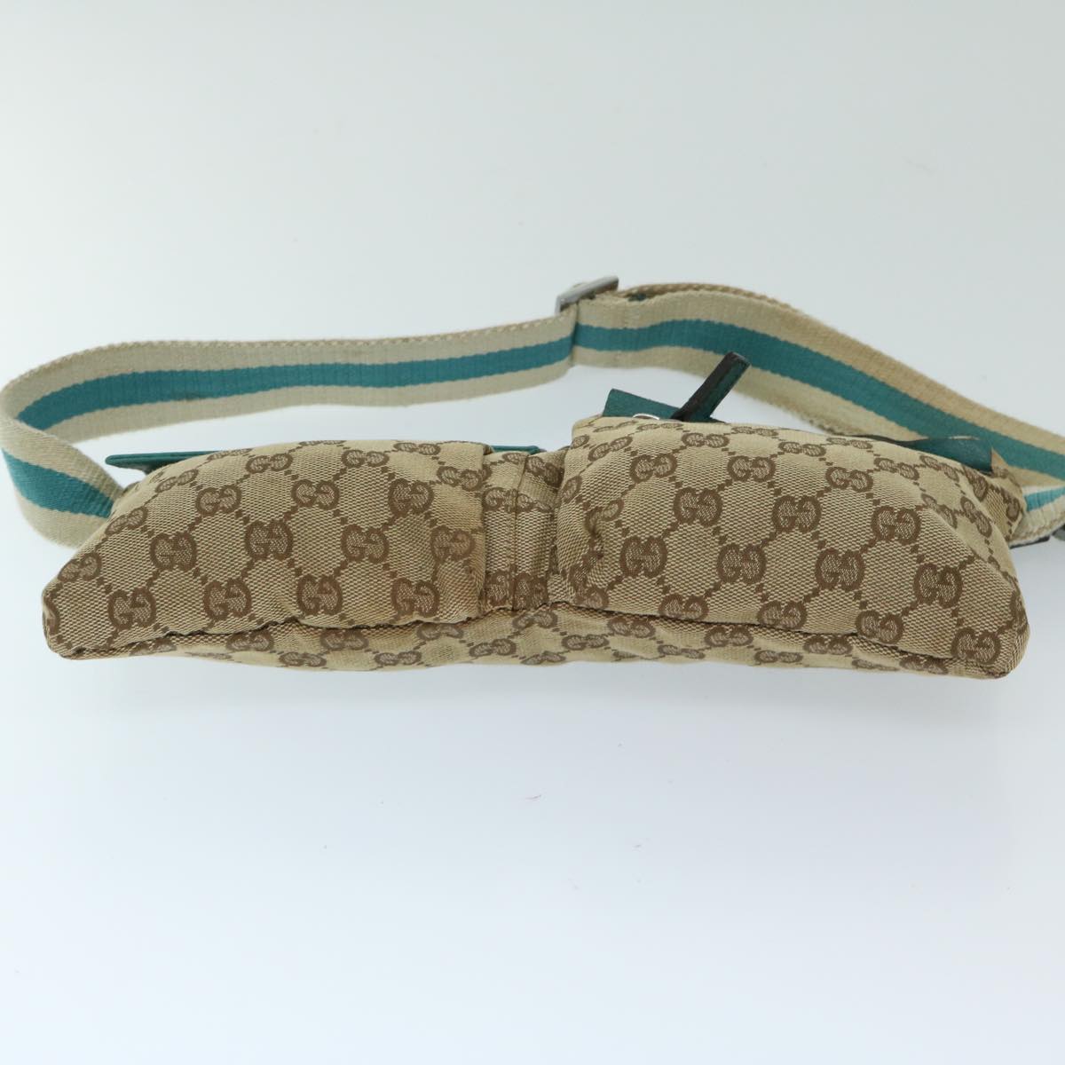 Gucci GG canvas