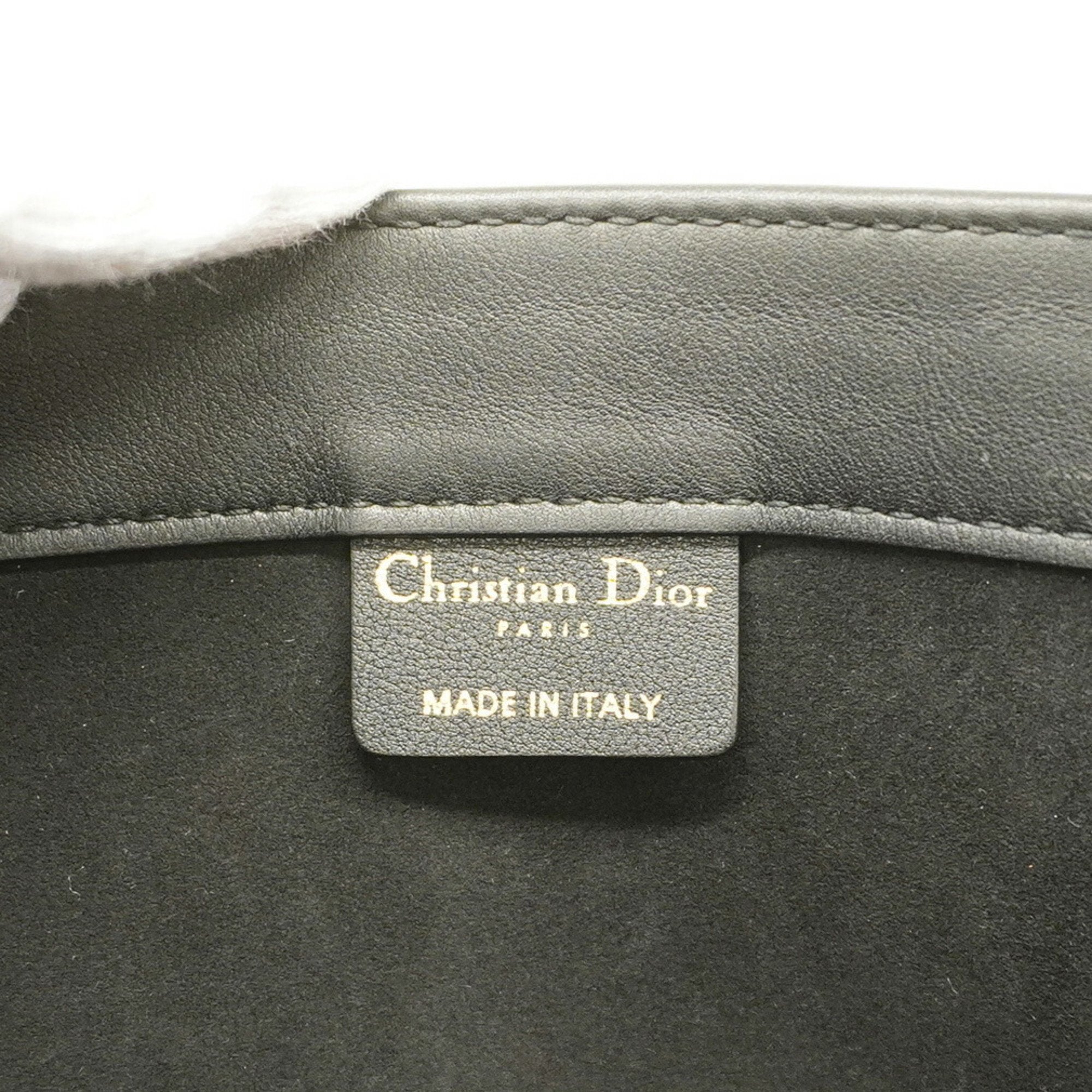 Dior Book Tote