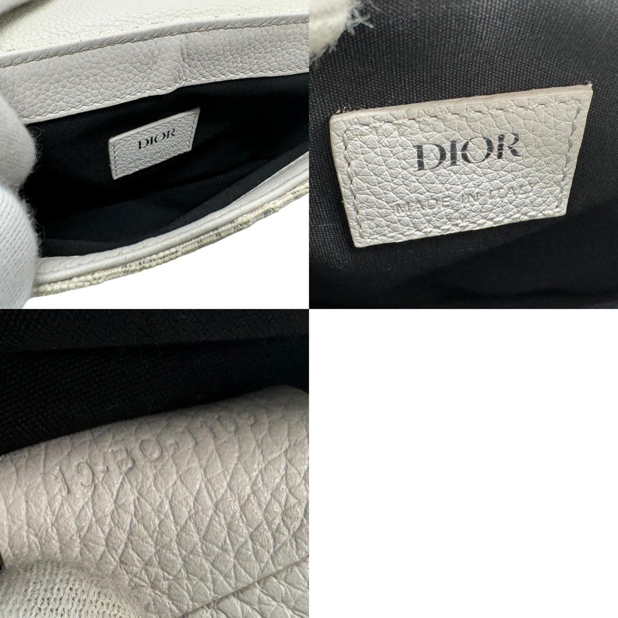 Dior Saddle