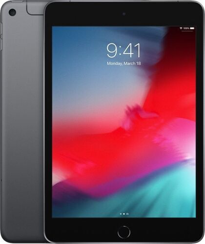 iPad mini 5 (2019) 79" 256 GB 4G rymdgrå