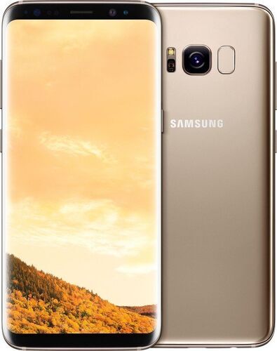 Samsung Galaxy S8 64 GB Single-SIM guld nytt batteri