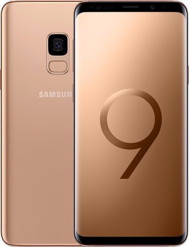 Samsung Galaxy S9 DuoS 64 GB guld