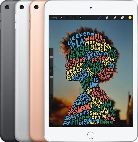 iPad mini 5 (2019) 79" 256 GB 4G roségold