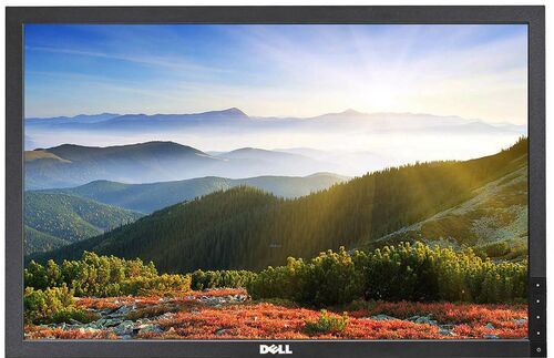 Dell P2210T 22" utan stativ svart