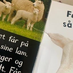 larm på gården Bog