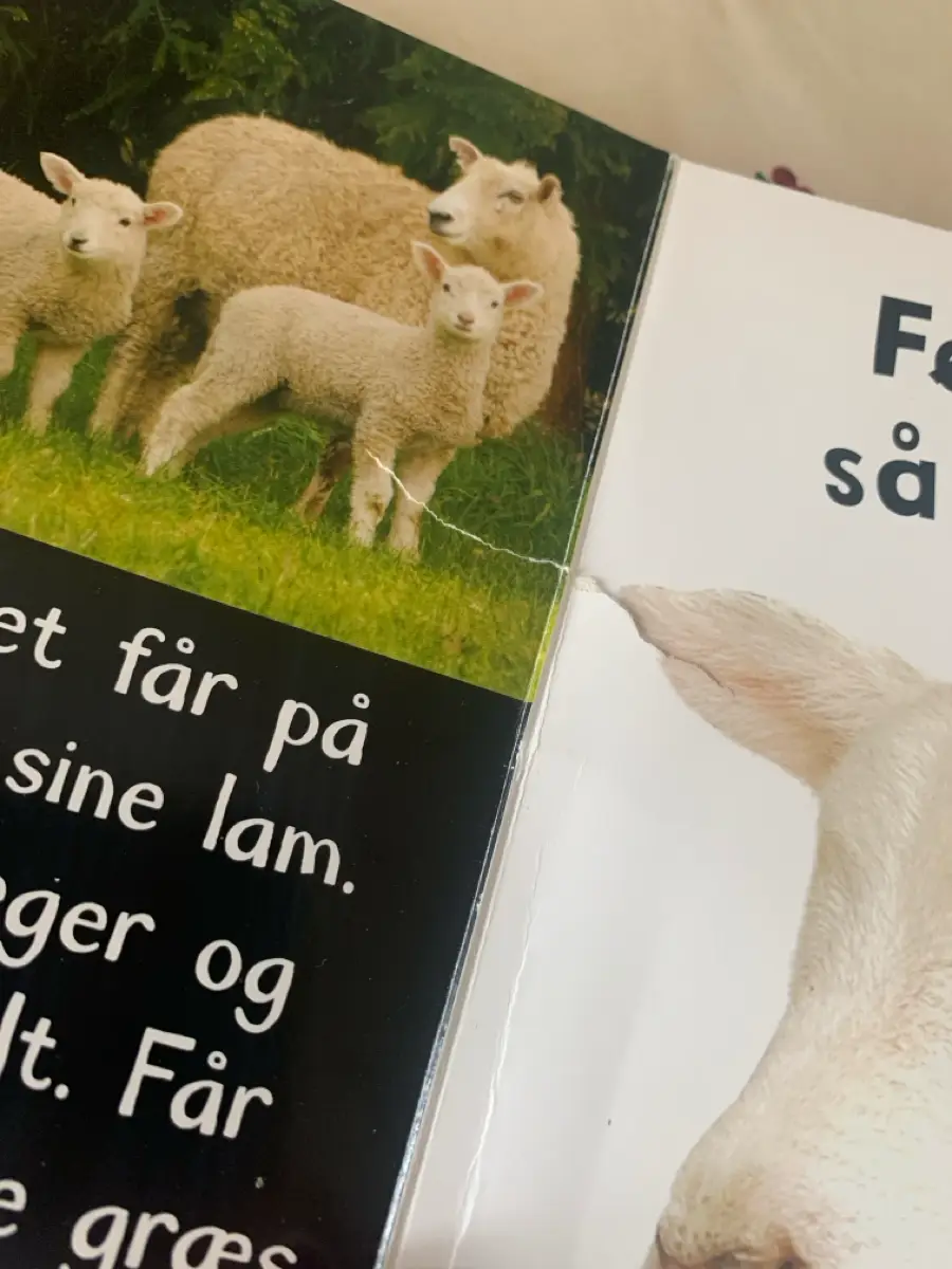 larm på gården Bog