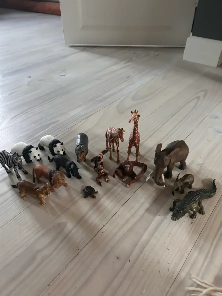 Schleich Safari og jungledyr