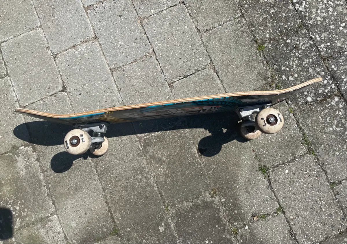 Tony Hawk Skateboard