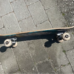 Tony Hawk Skateboard