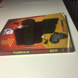 Verdens Fodbold Rekorder 2011 bog