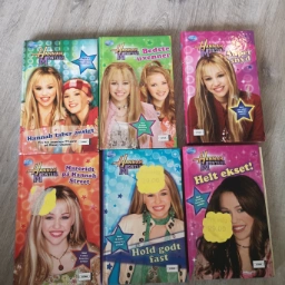 Hannah Montana Bog