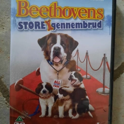 Beethoven store gennembrud Dvd