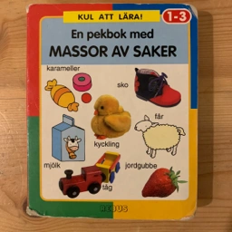 En pekbok med massor av saker Bog på svensk
