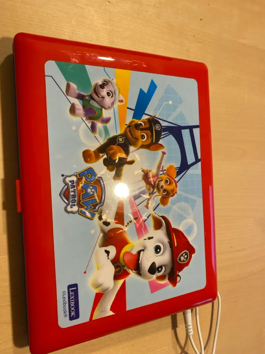 Paw Patrol computer