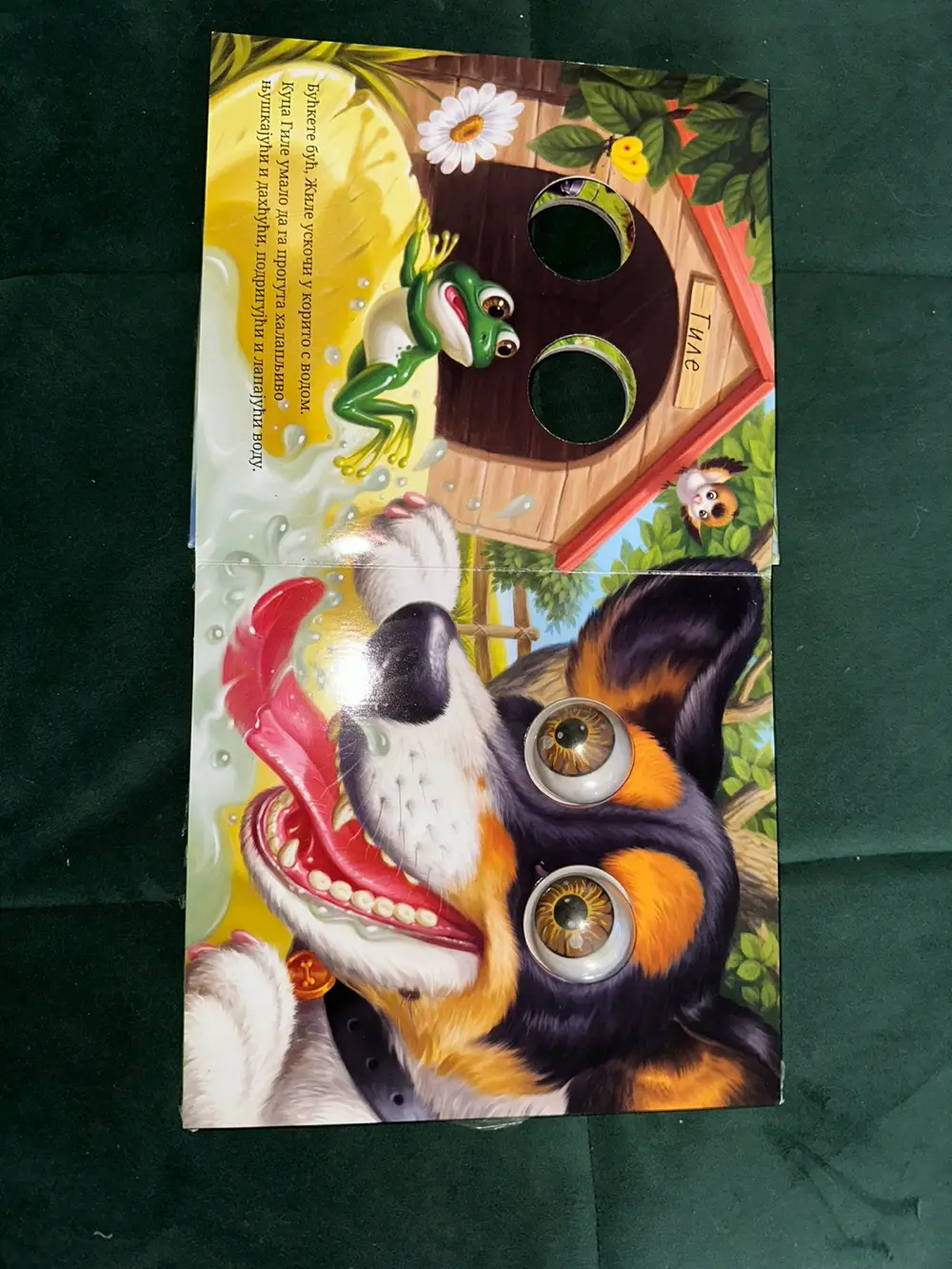 Børnebog bog rullende øjne kat hund slange frø ko