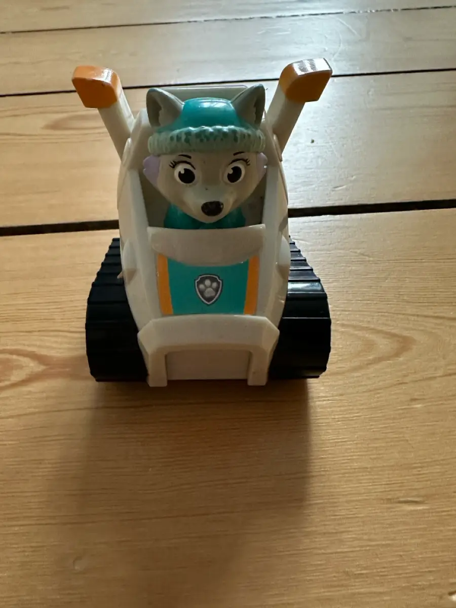 Paw Patrol Paw patrol biler