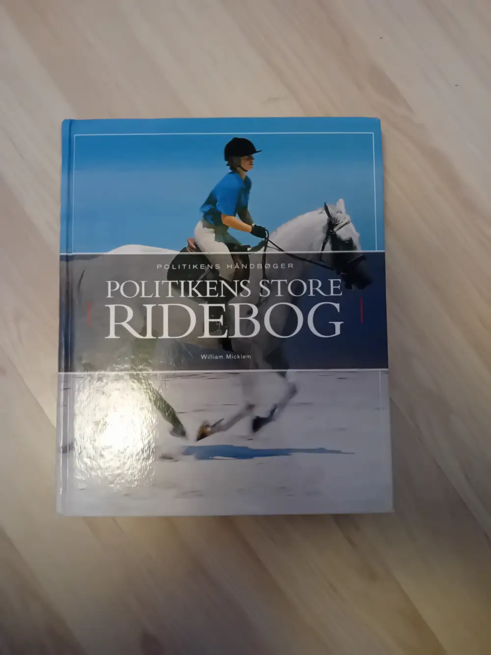 Politikkens store ridebog Bog