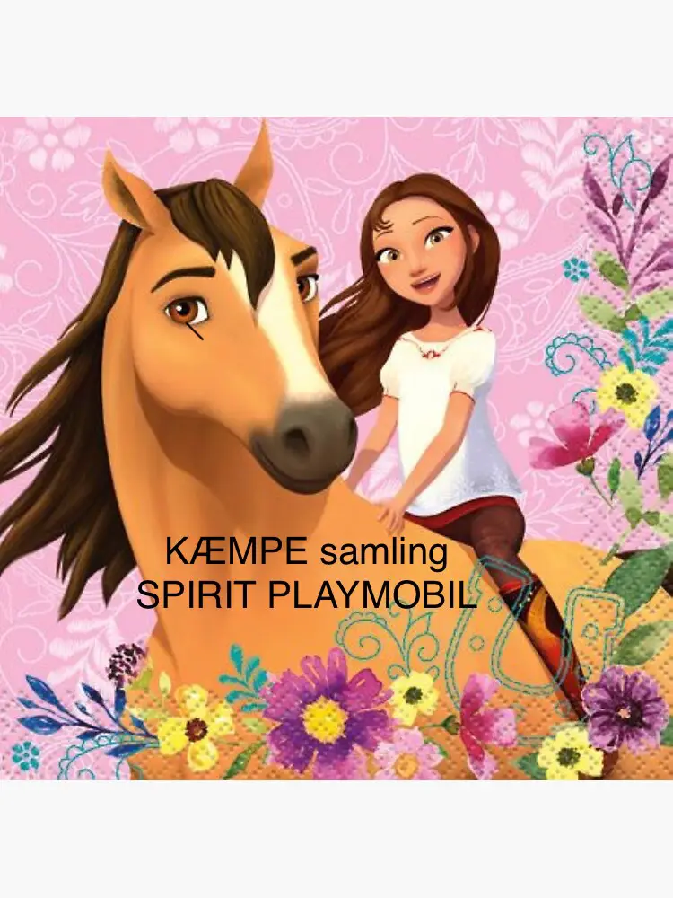 Playmobil Spirit