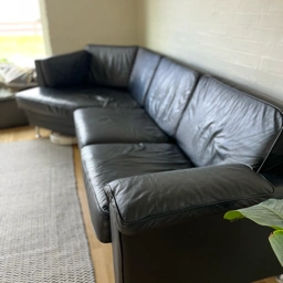 Okseskind Lædersofa