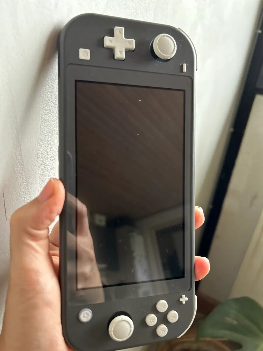 Nintendo Switch lite