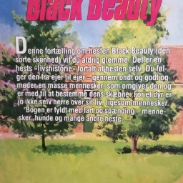 Black beauty Bøge