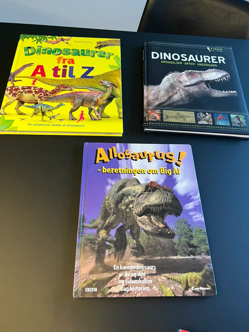 Dinosaurer Bøger