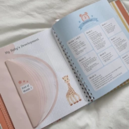 Sophie la Giraffe Pregnancy Journal