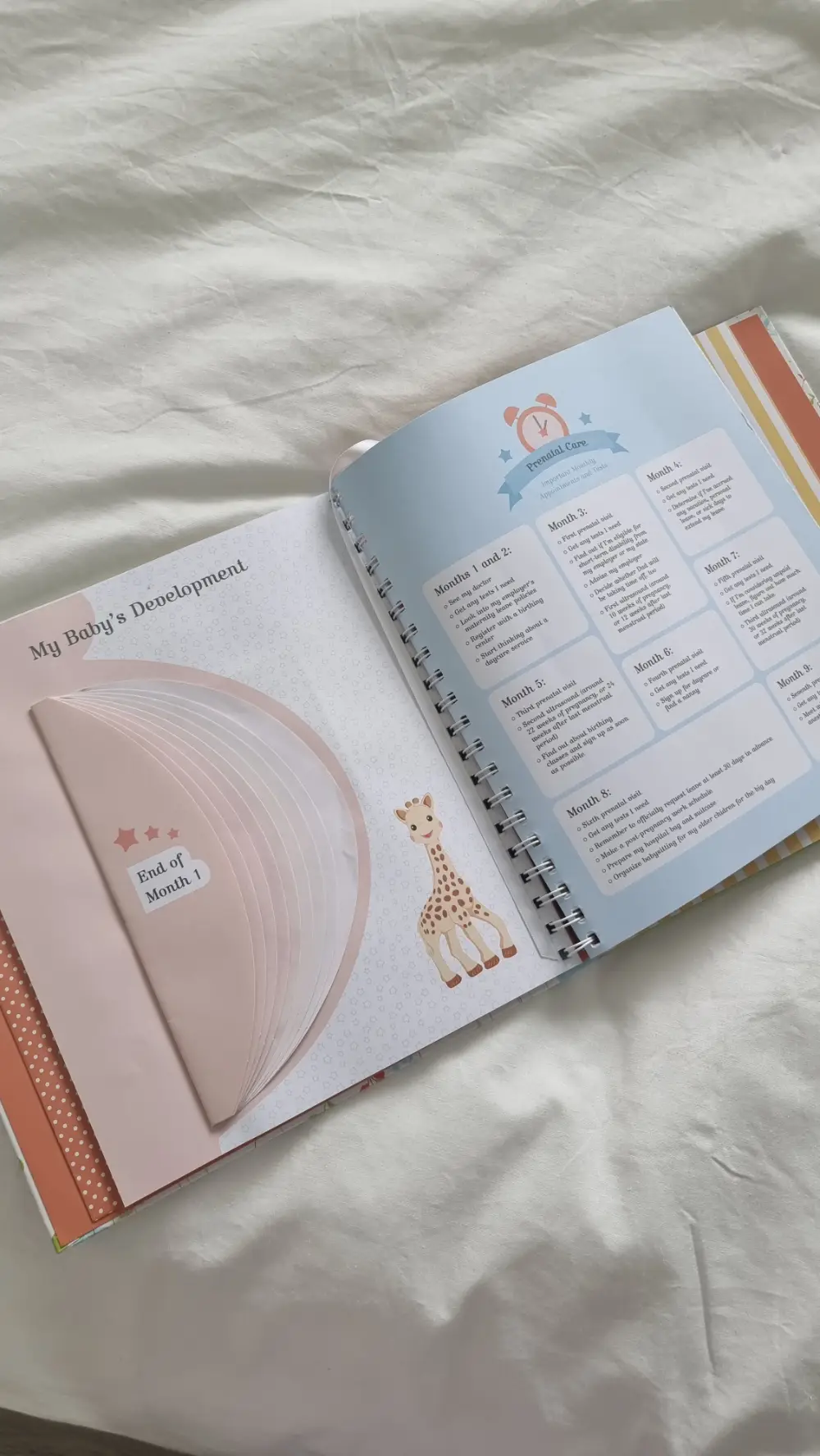 Sophie la Giraffe Pregnancy Journal