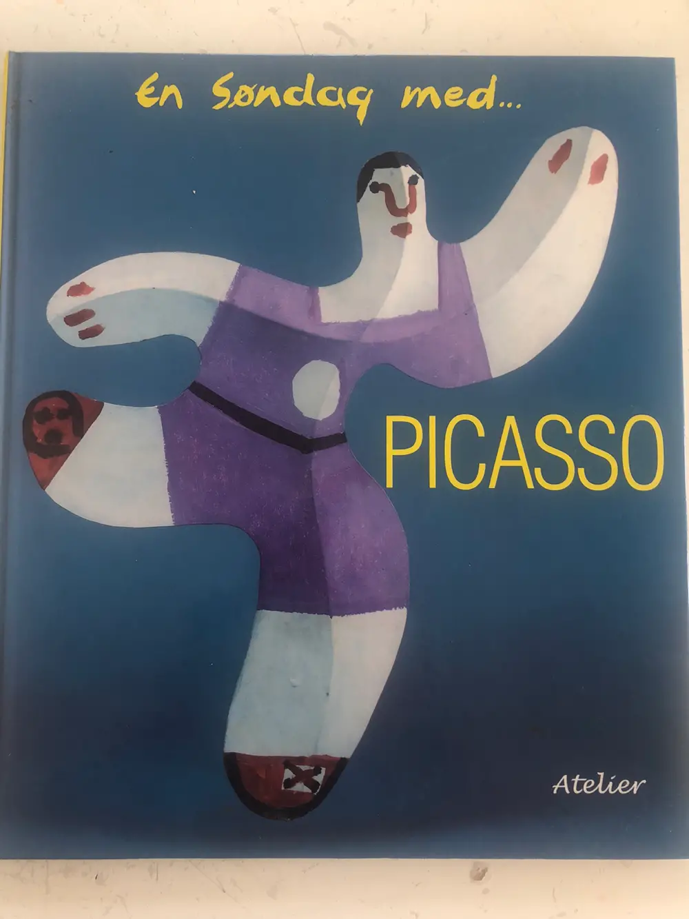 En søndag med Picasso Bog