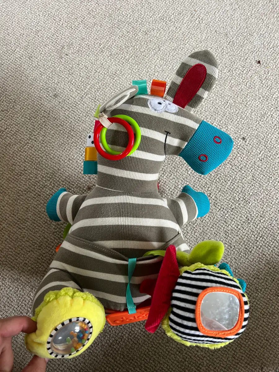 Dolce Toys Opfinder Zebra