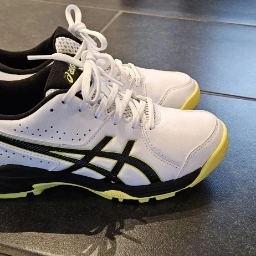 ASICS Træningssko