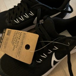 Nike Sko - Pegasus 39