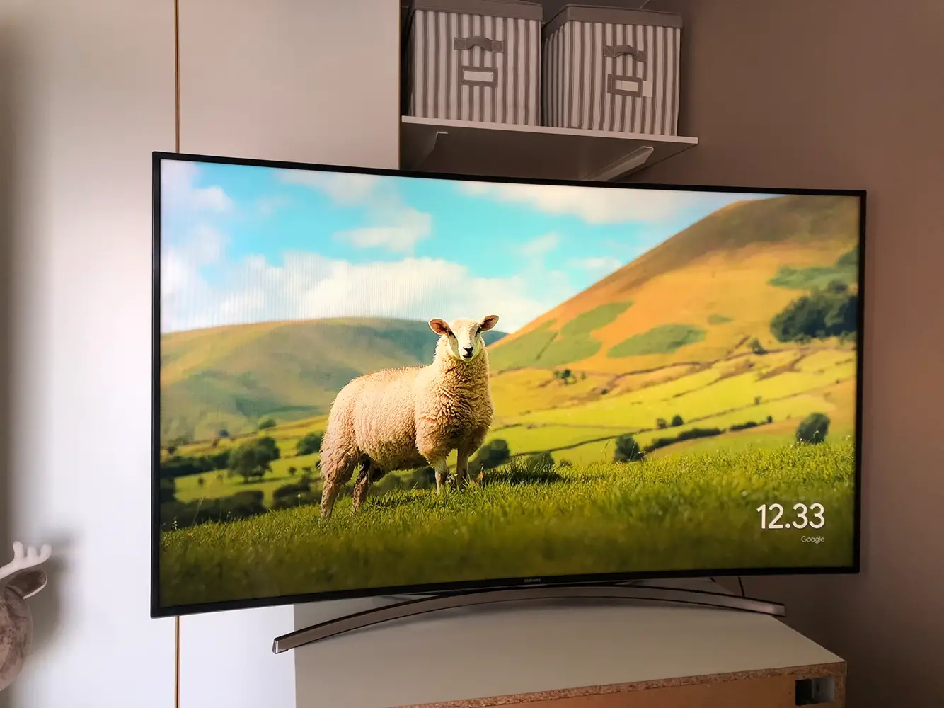 Samsung Fladskærms tv 55”