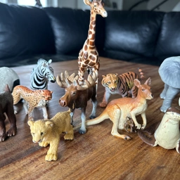 Ukendt Safari 13 dyr