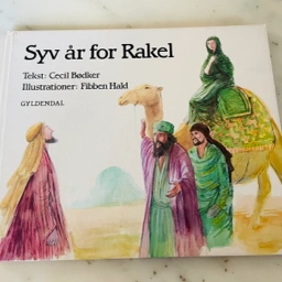 Syv år for Rakel Bog bøger