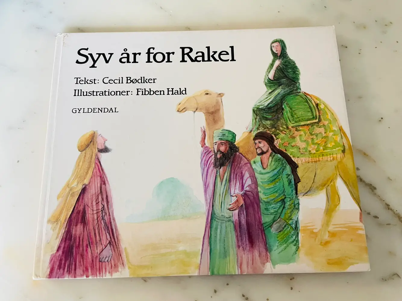 Syv år for Rakel Bog bøger