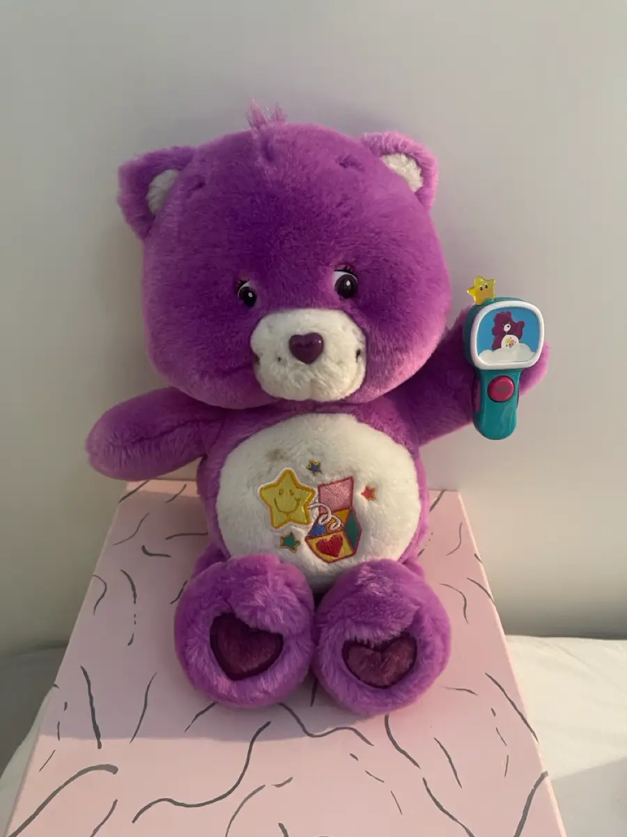 Care bears Hiden seek