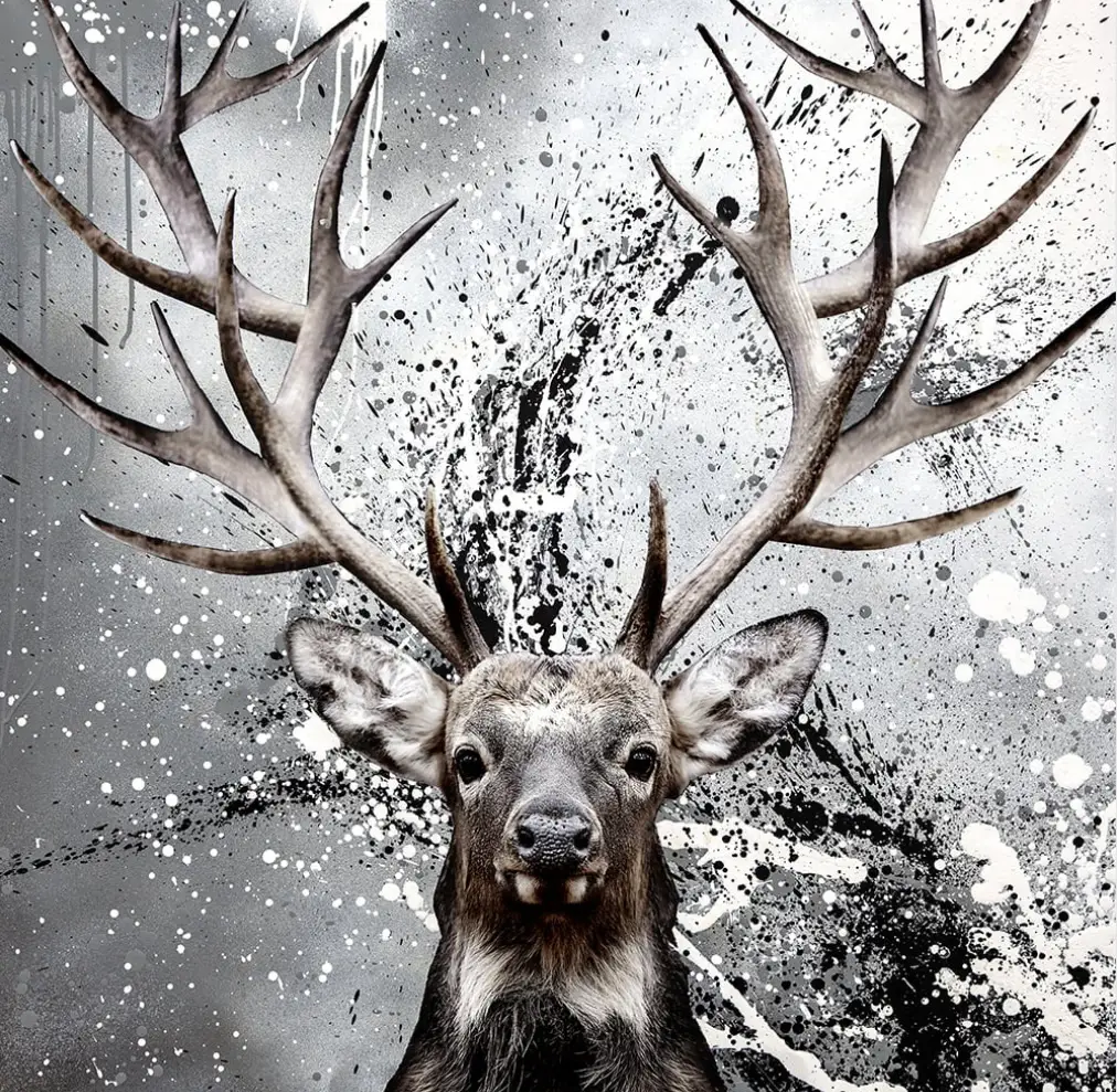 Rasmus Okholm Shooting Stars Deer