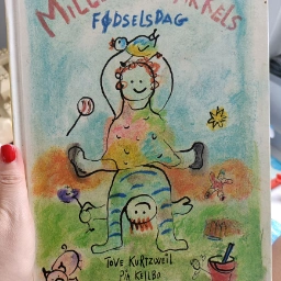 Mille og Mikkels fødselsdag Bog